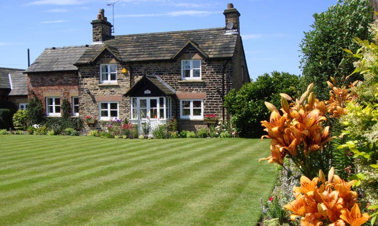 Lawn Maintenance